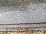 image of grave number 630056